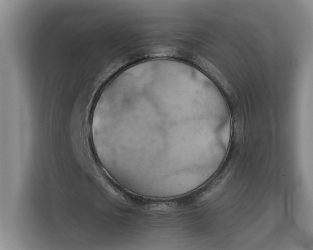 X0000111150721200907141341