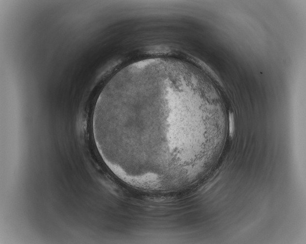X0000111150723200907141341