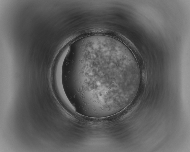 X0000111150725200907141341