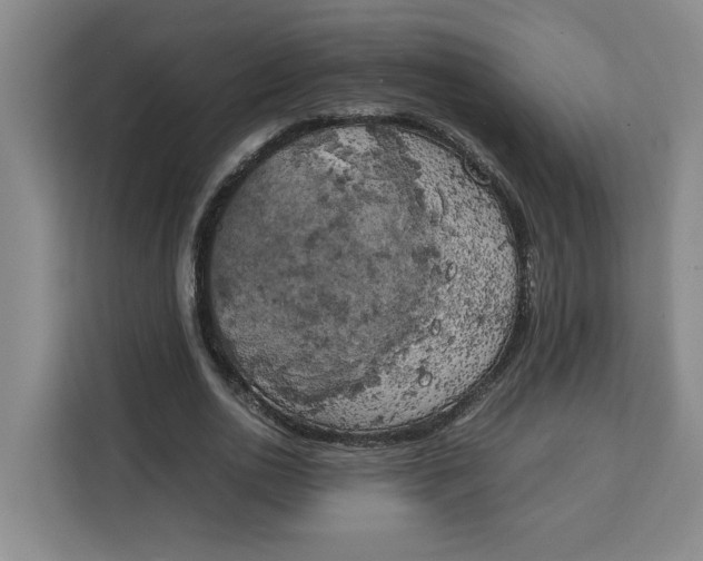 X0000111150726200907141341
