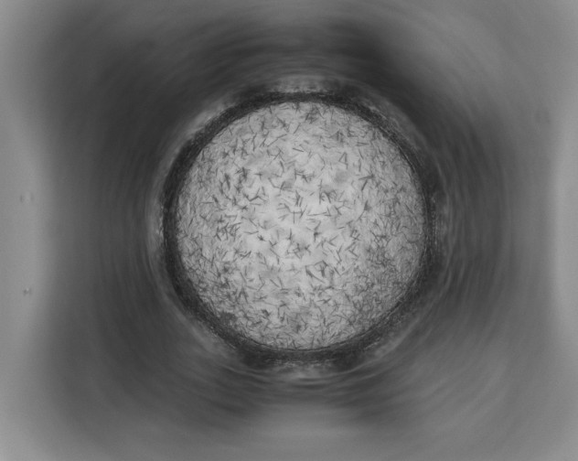 X0000111150727200907141341