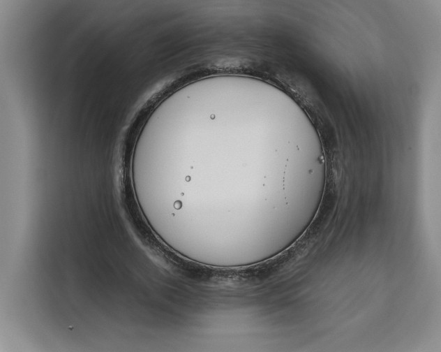 X0000111150728200907141341