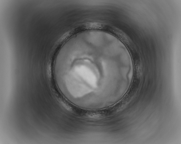 X0000111150729200907141341