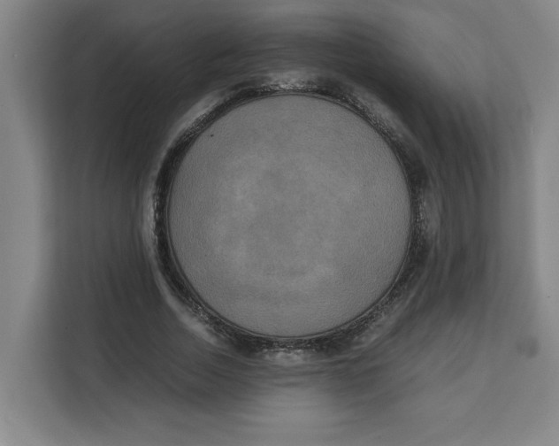 X0000111150730200907141341