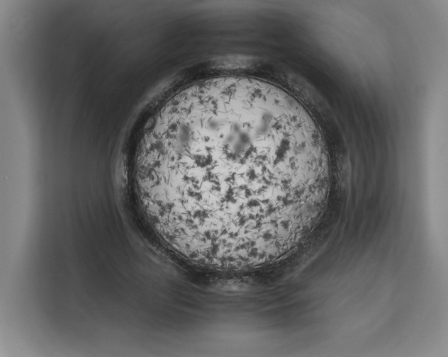 X0000111150731200907141341