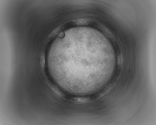 X0000111150733200907141341