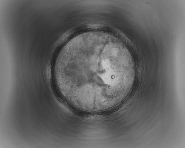 X0000111150734200907141341
