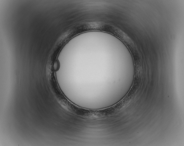 X0000111150736200907141341