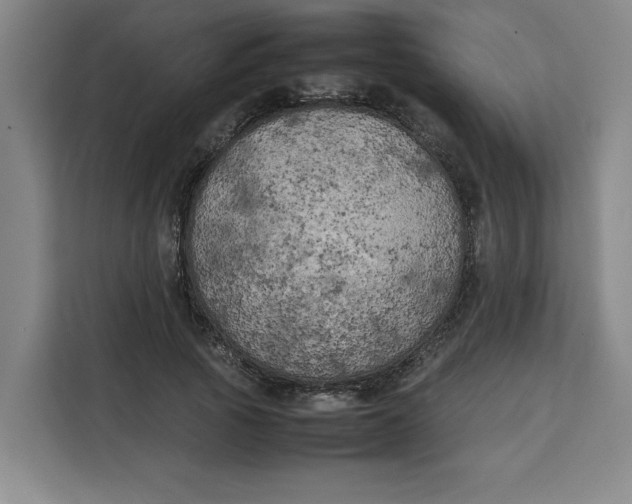 X0000111150737200907141341