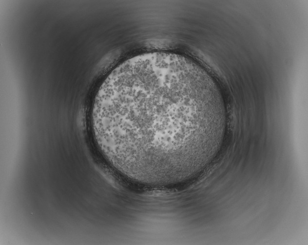 X0000111150738200907141341