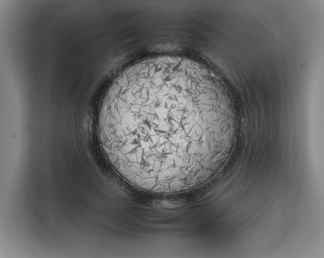 X0000111150739200907141341