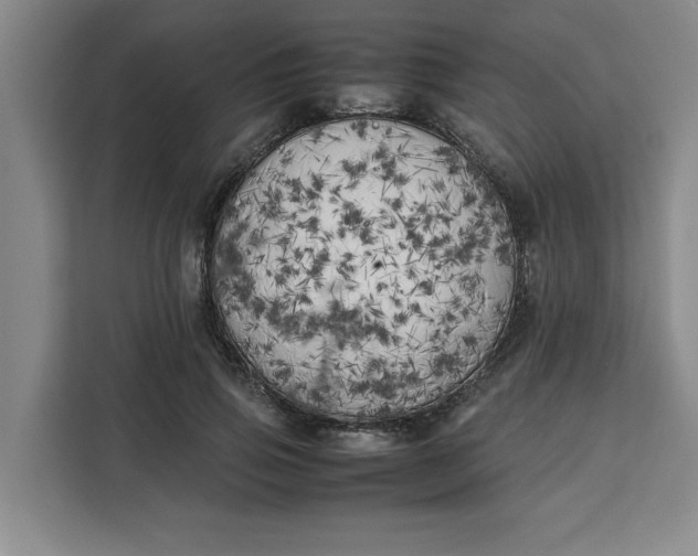 X0000111150741200907141341