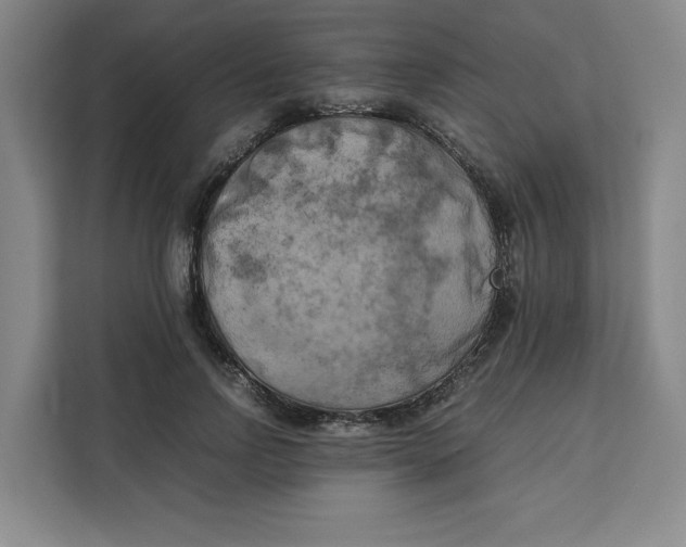 X0000111150742200907141341