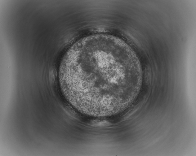 X0000111150747200907141341