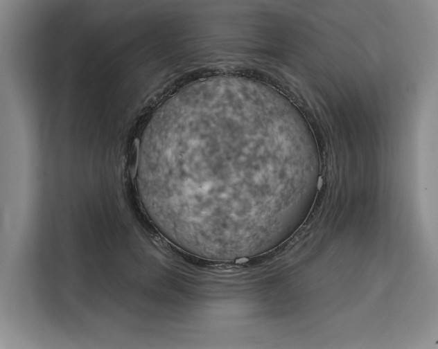 X0000111150750200907141341