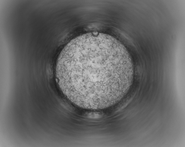 X0000111150751200907141341