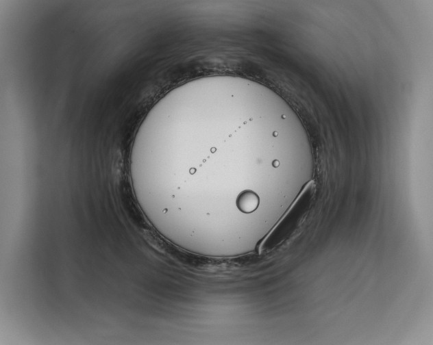 X0000111150752200907141341