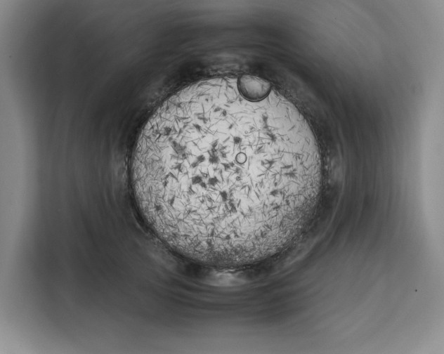 X0000111150753200907141341