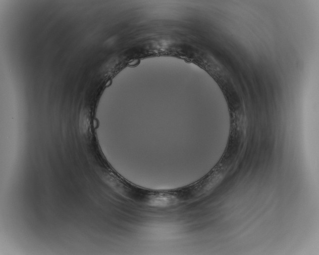 X0000111150754200907141341