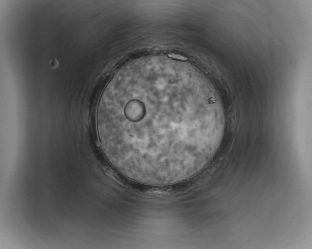 X0000111150756200907141341