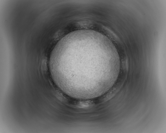 X0000111150757200907141341