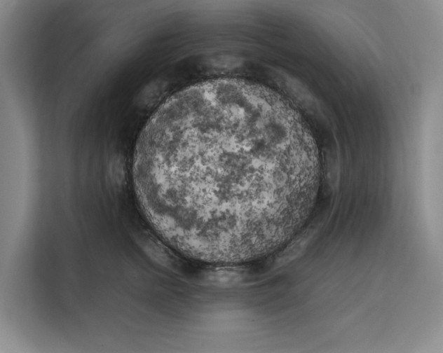 X0000111150758200907141341