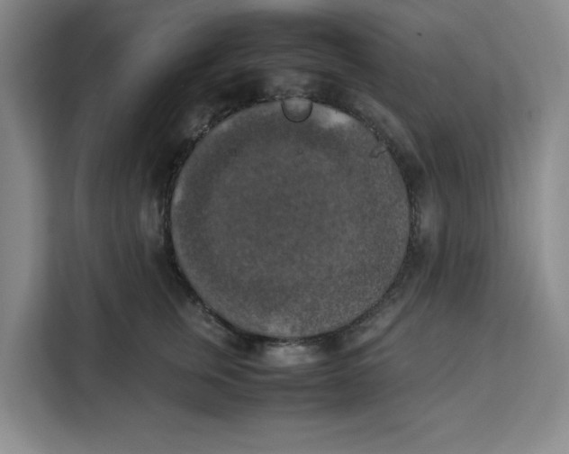 X0000111150759200907141341
