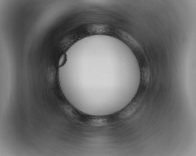 X0000111150760200907141341
