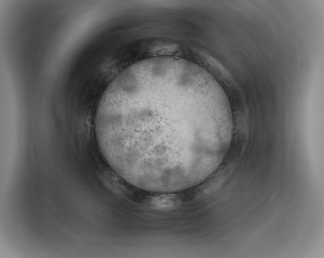 X0000111150761200907141341