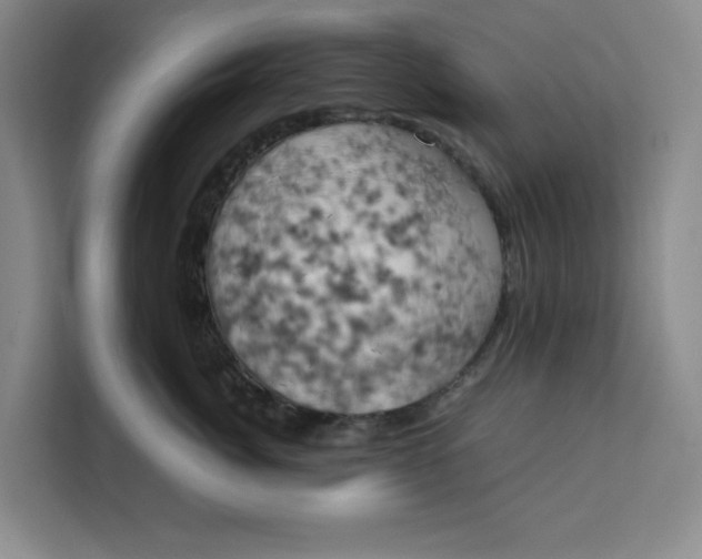 X0000111150764200907141341