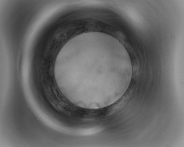 X0000111150765200907141341