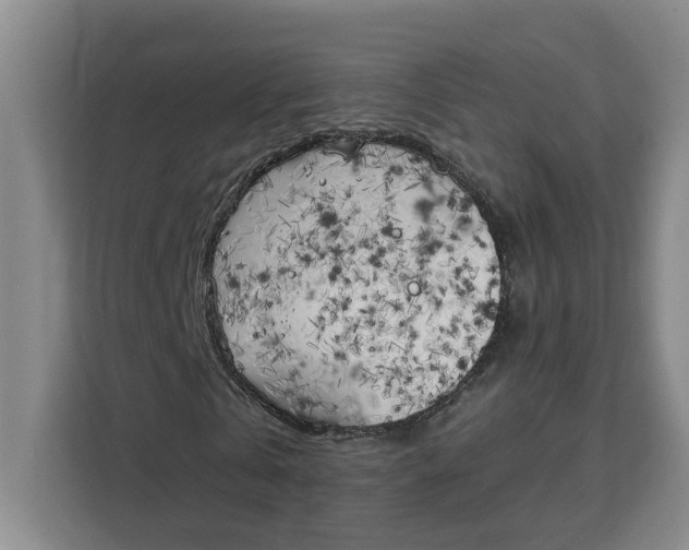 X0000111150769200907141341