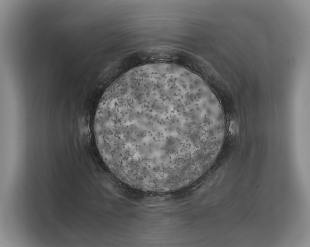 X0000111150771200907141341