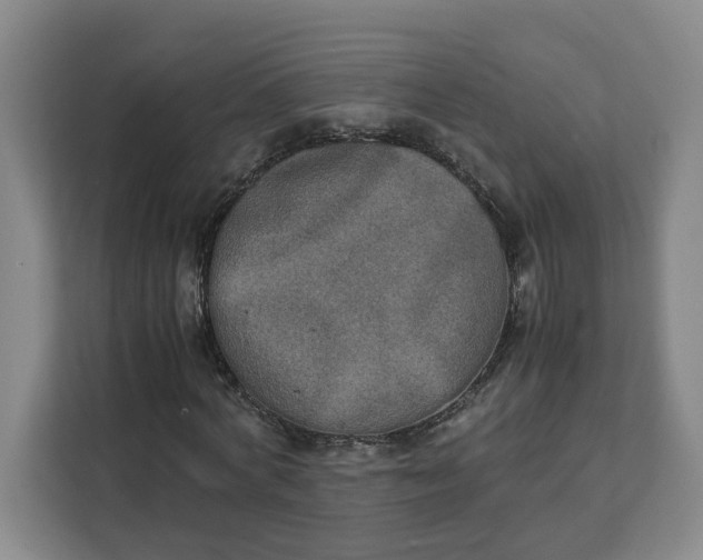X0000111150772200907141341