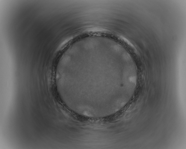 X0000111150775200907141340