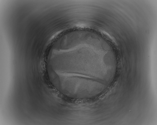 X0000111150776200907141340