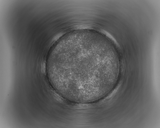 X0000111150777200907141340