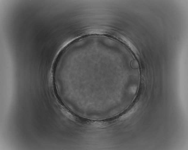 X0000111150779200907141340