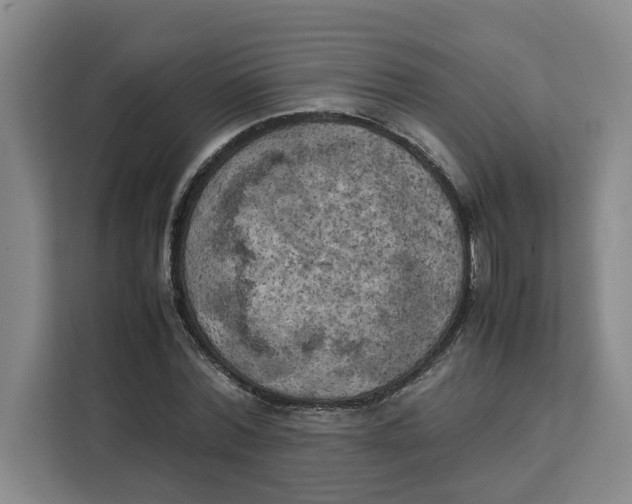 X0000111150780200907141340