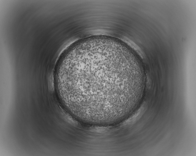 X0000111150782200907141340