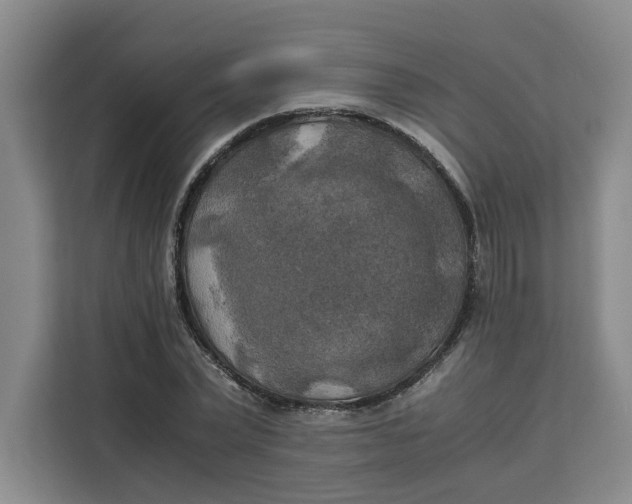 X0000111150783200907141340