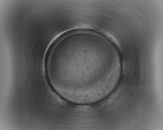 X0000111150784200907141340