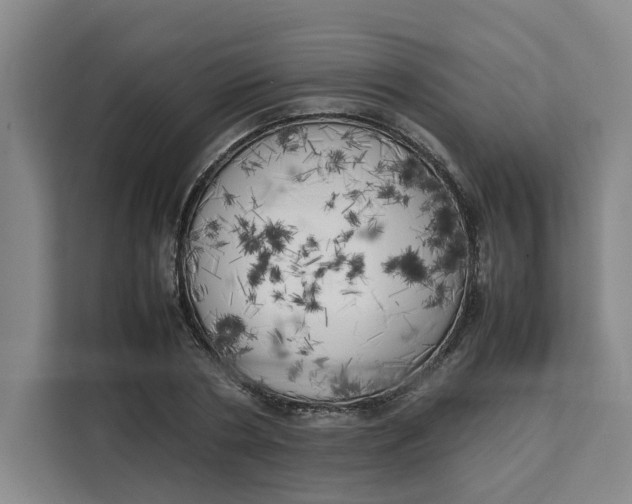X0000111150786200907141340
