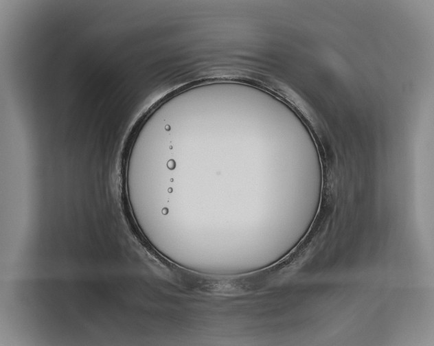X0000111150787200907141340