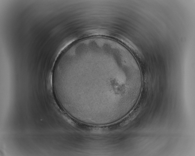 X0000111150790200907141340