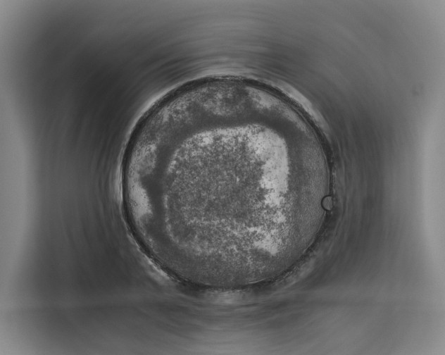 X0000111150791200907141340