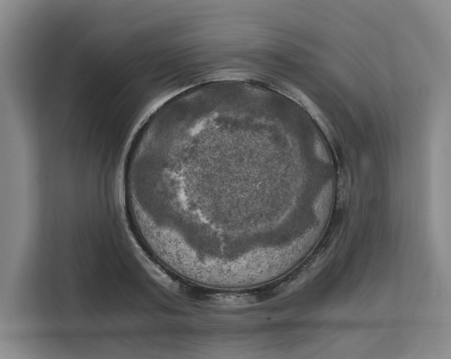 X0000111150795200907141340