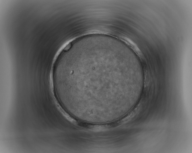 X0000111150796200907141340