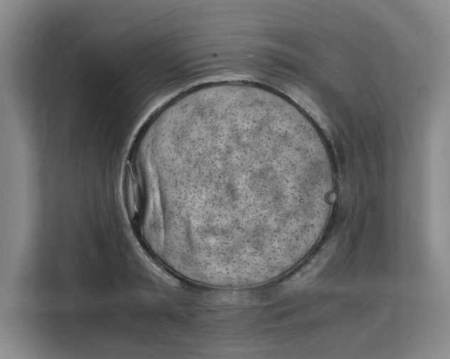 X0000111150797200907141340