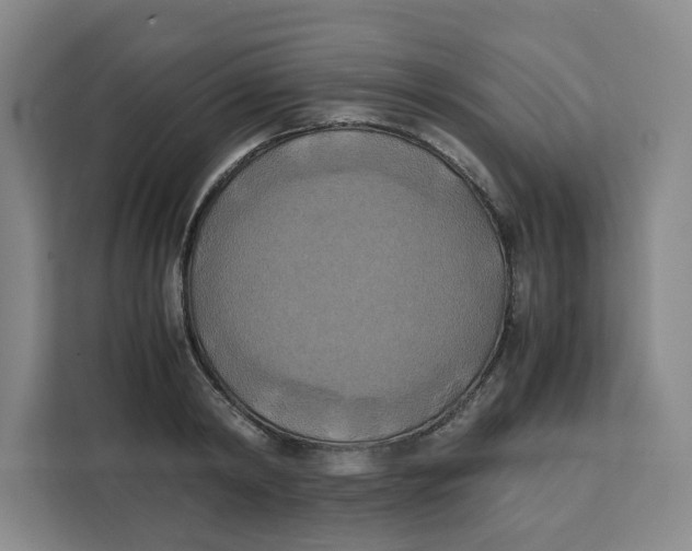 X0000111150798200907141340